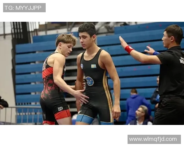 瑞典与罗马尼亚精彩对决集锦回顾分析与精彩瞬间分享